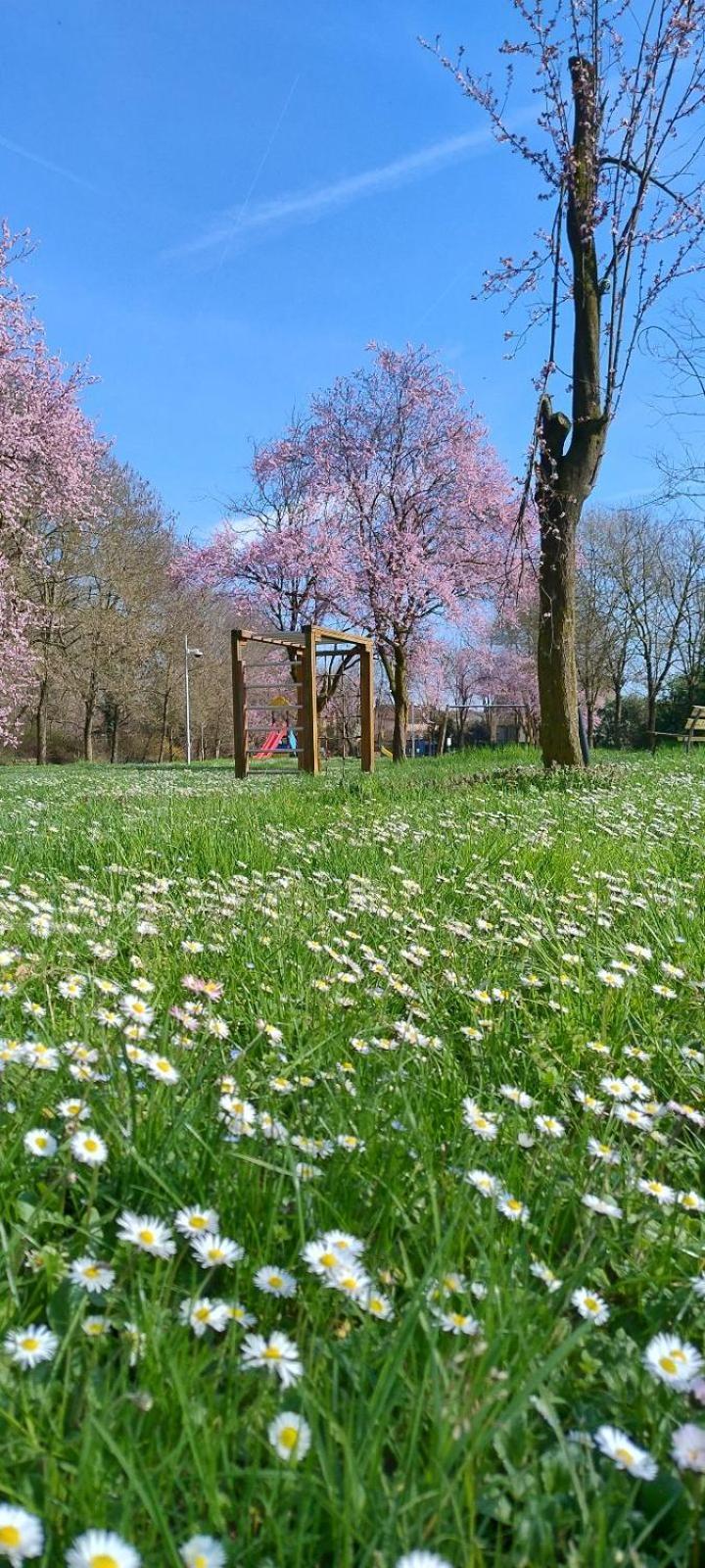 Shanti Ca' Casa Indipendente Con Giardino Lacchiarella Dış mekan fotoğraf