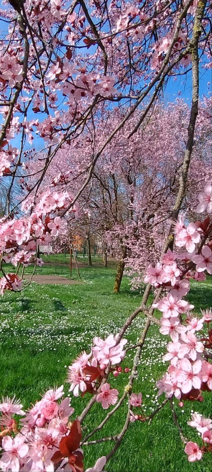 Shanti Ca' Casa Indipendente Con Giardino Lacchiarella Dış mekan fotoğraf