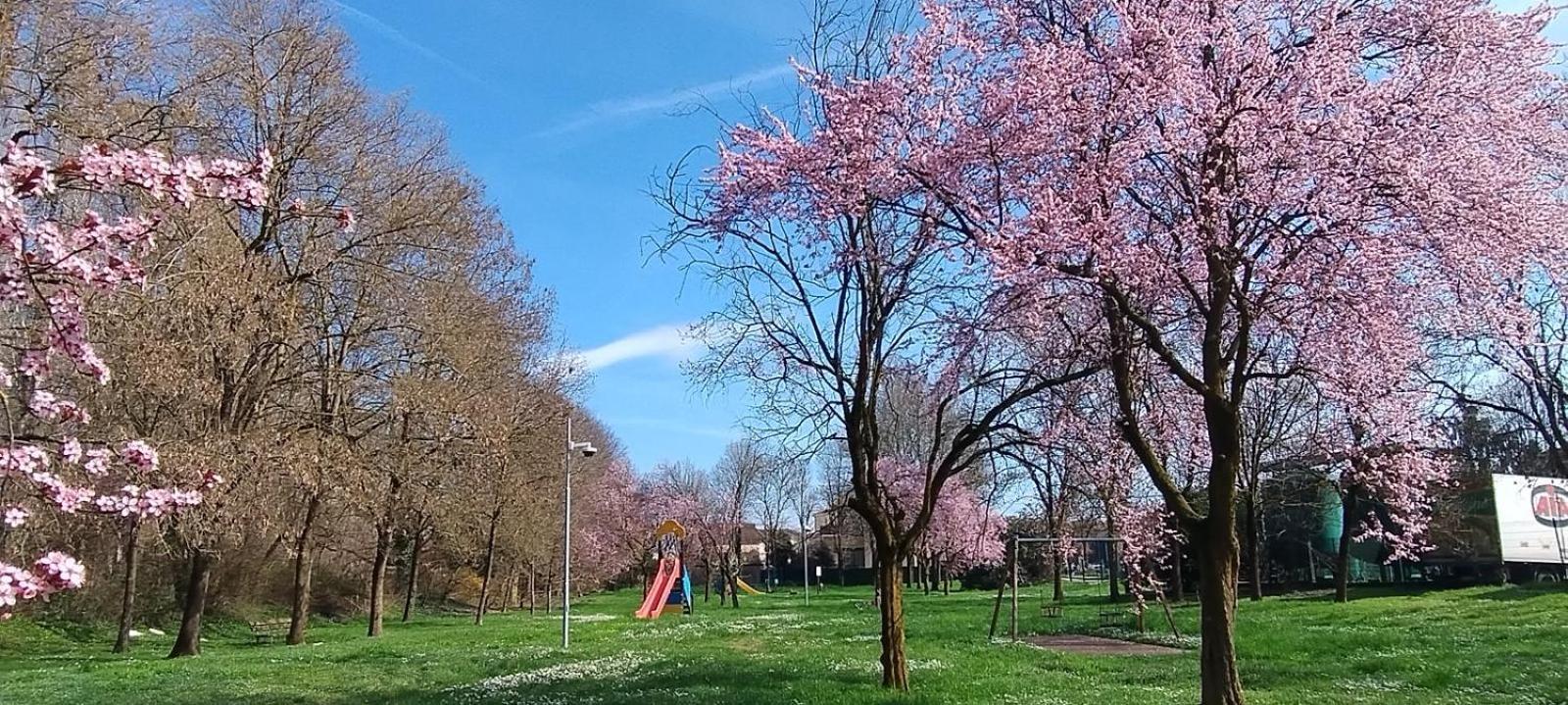 Shanti Ca' Casa Indipendente Con Giardino Lacchiarella Dış mekan fotoğraf